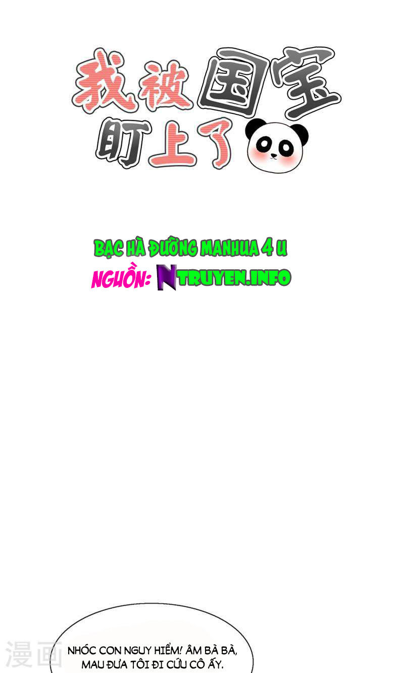 Tôi Bị Gấu Trúc Nhìn Trúng Rồi Chapter 25 - Trang 0