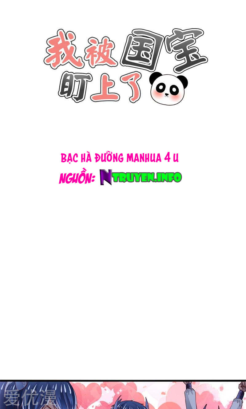 Tôi Bị Gấu Trúc Nhìn Trúng Rồi Chapter 26 - Trang 0