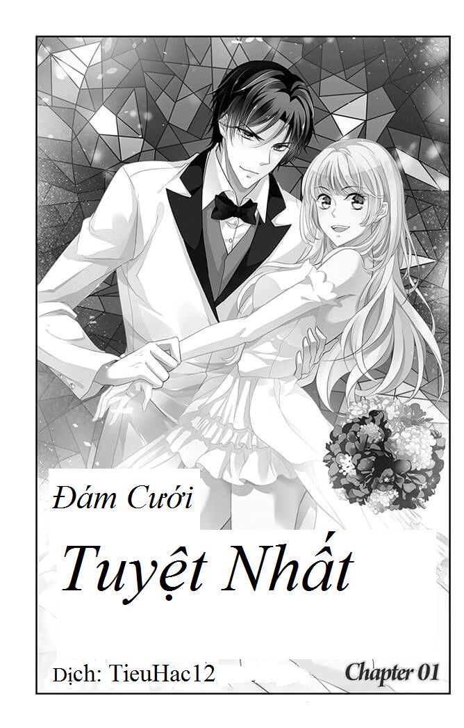 Đám Cưới Tuyệt Nhất Chapter 1 - Trang 0