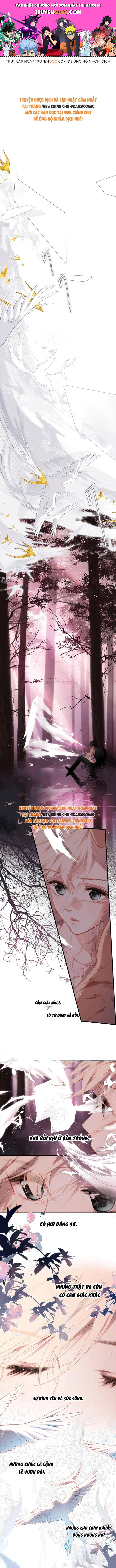 Tố Hồi Xuân Thời Chapter 37 - Trang 0