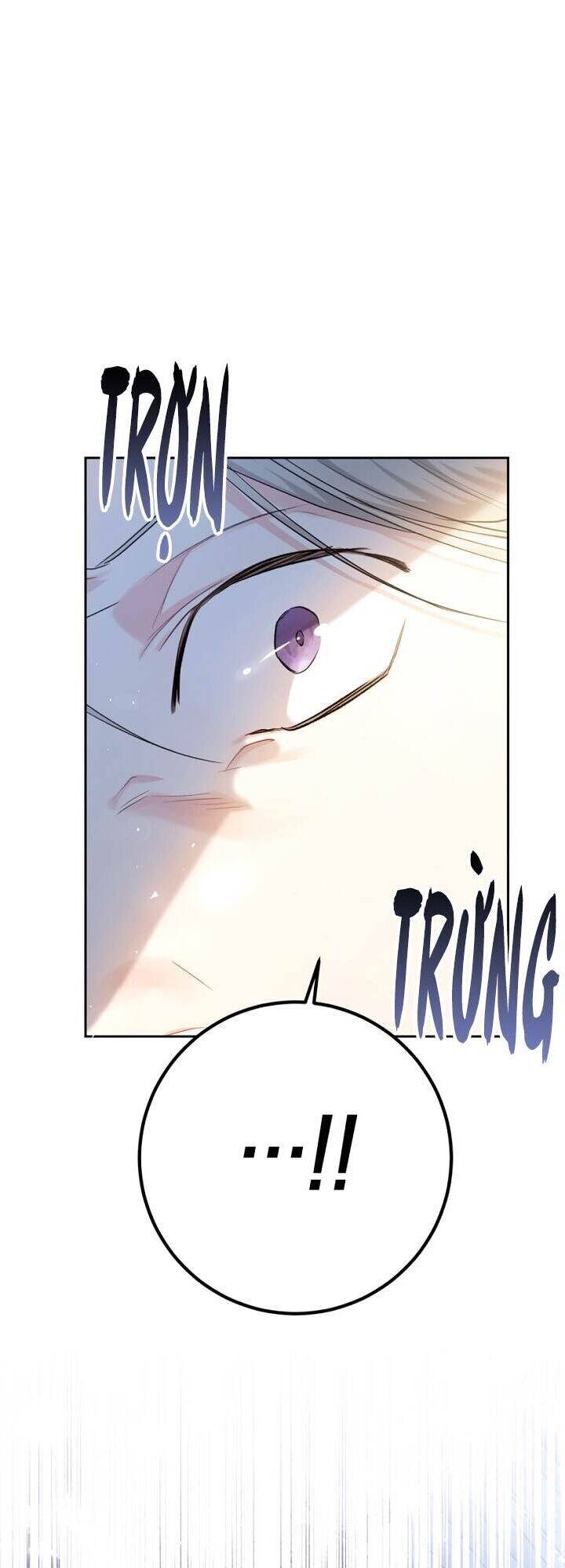 Kẻ Phản Diện Là Một Con Rối Chapter 30 - Trang 0