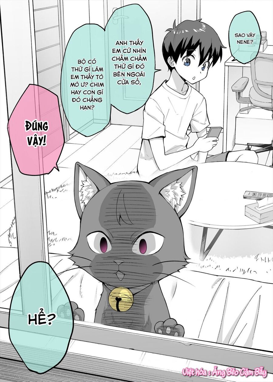 Bé Mèo Yandere Của Tôi Yêu Tôi Rất Nhiều Chuong 2 - Trang 0
