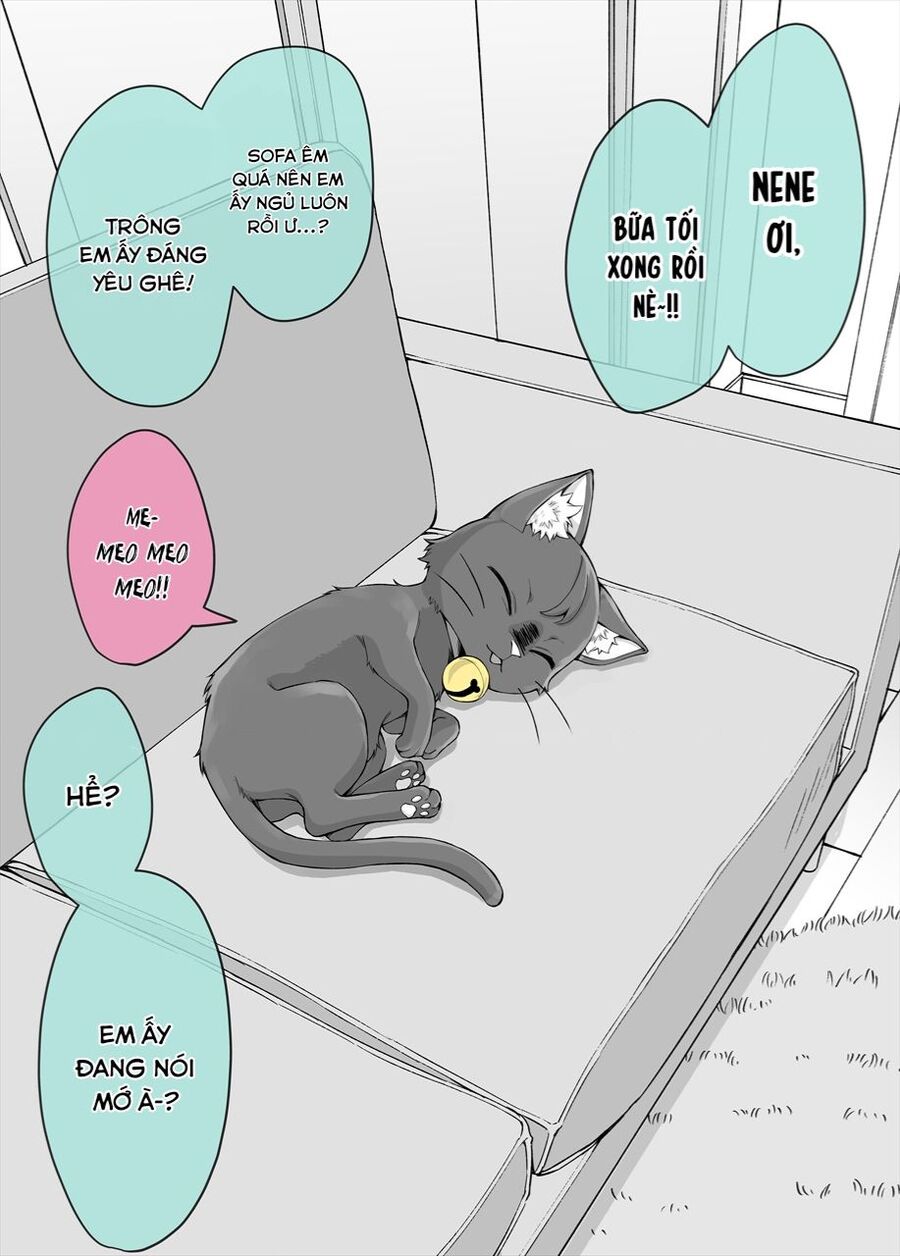 Bé Mèo Yandere Của Tôi Yêu Tôi Rất Nhiều Chuong 5 - Trang 0