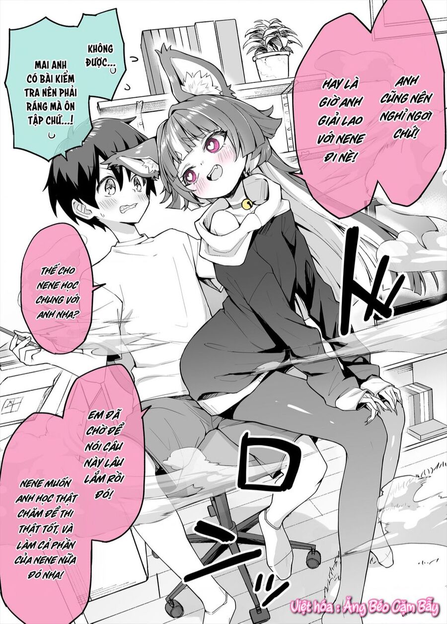 Bé Mèo Yandere Của Tôi Yêu Tôi Rất Nhiều Chuong 3 - Trang 1