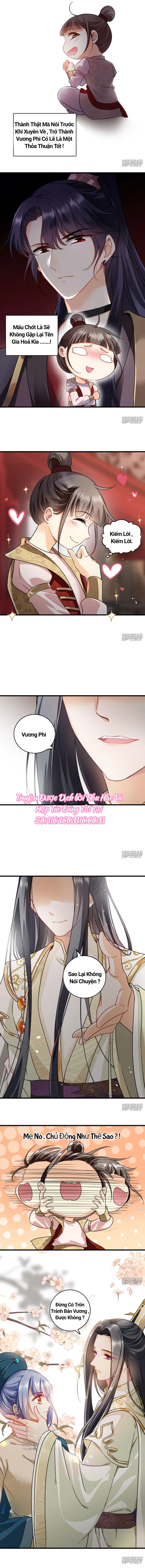 Nụ Cười Của Nàng Ngọt Làm Gãy 8 Cái Răng Của Ta Chapter 8 - Trang 1