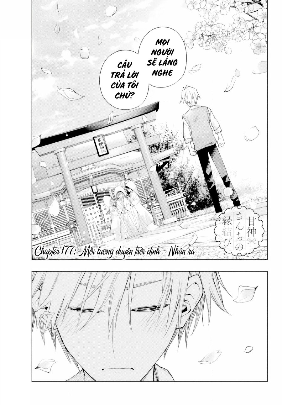 Kết Duyên Nhà Kamigami Chapter 177 - Trang 1