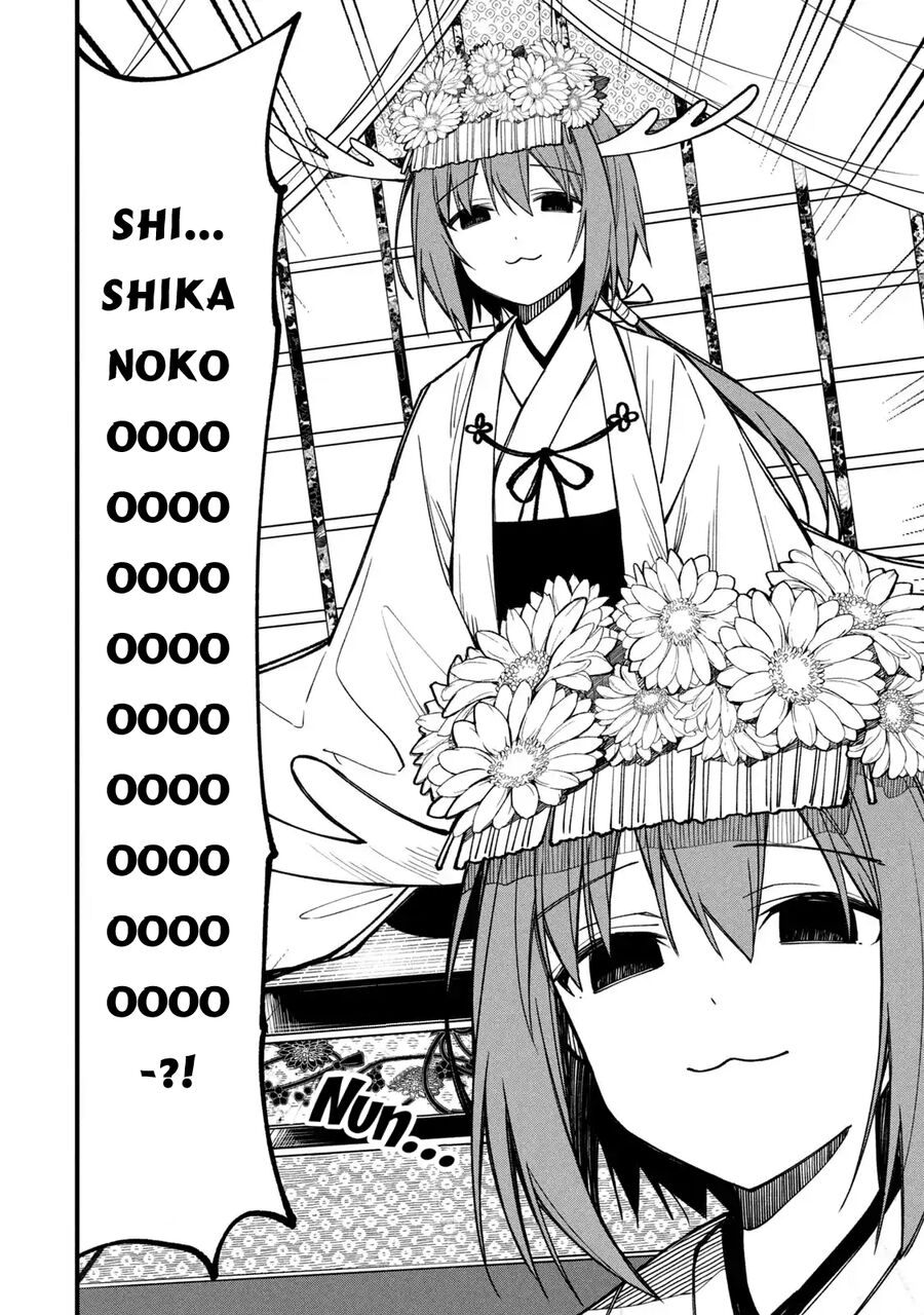 Bạn Nai Nokotan Của Tôi Chapter 12 - Trang 1