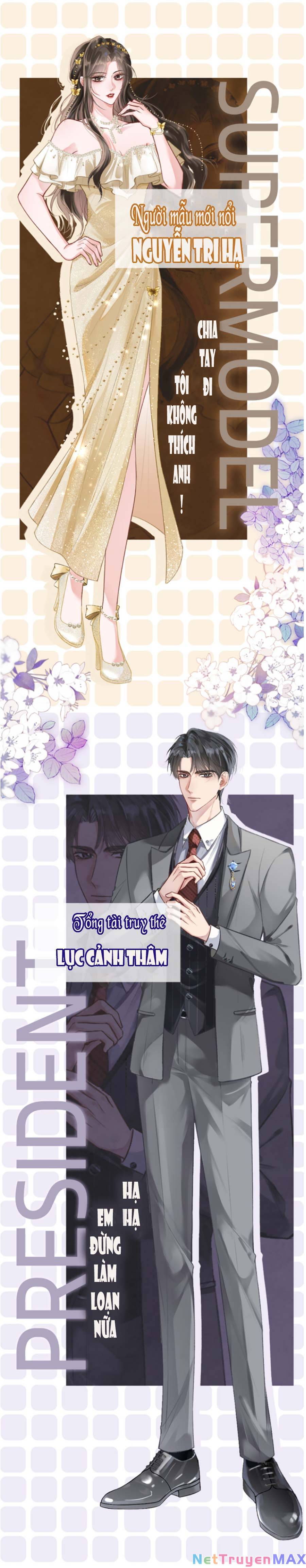 Lục Tổng Theo Đuổi Vợ Hậu Chia Tay Chapter 0 - Trang 0