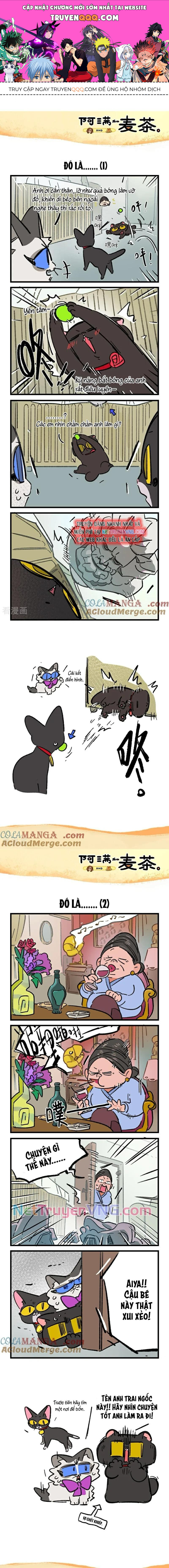 A Mãn Và Mạch Trà Chapter 237 - Trang 0