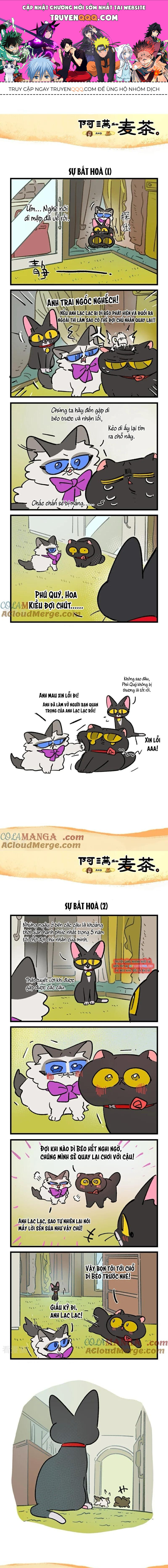 A Mãn Và Mạch Trà Chapter 238 - Trang 0