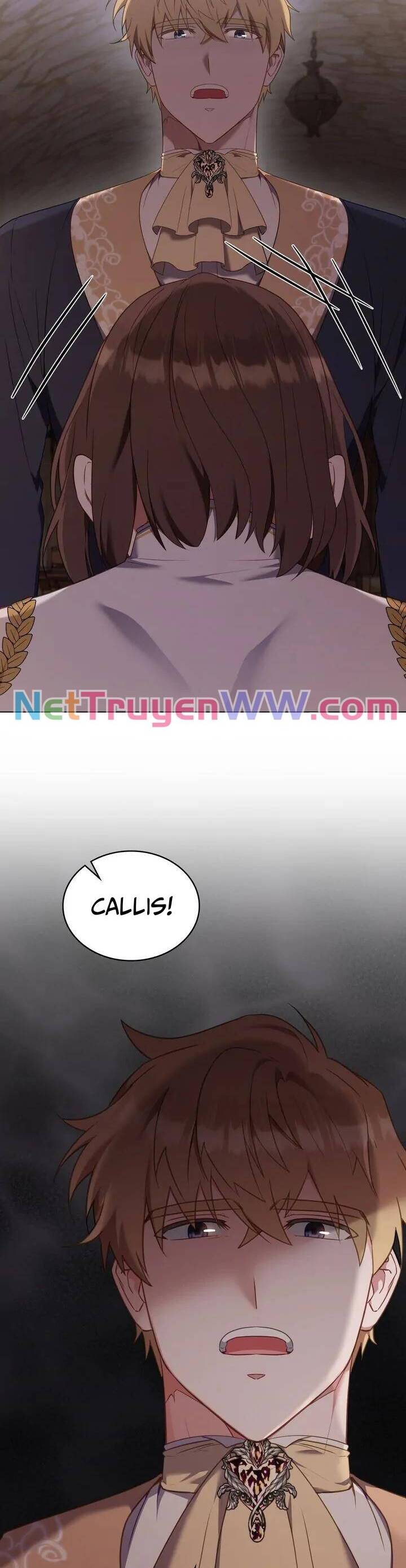 Tôi Trở Thành Nhân Vật Phản Diện Thực Sự Chapter 95 - Trang 1
