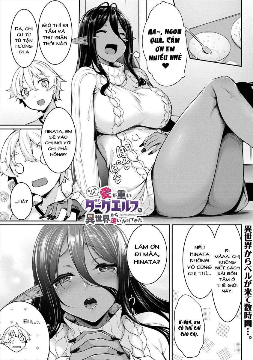 Chotto Dake Ai Ga Omoi Dark Elf Ga Isekai Kara Oikakete Kita Chapter 2 - Trang 0