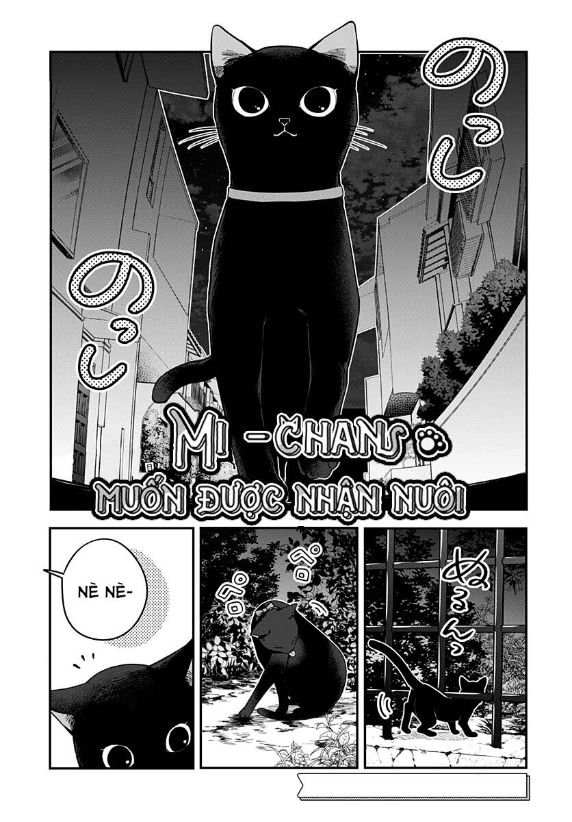 Mi-Chan Wa Kawaretai Chapter 5 - Trang 1