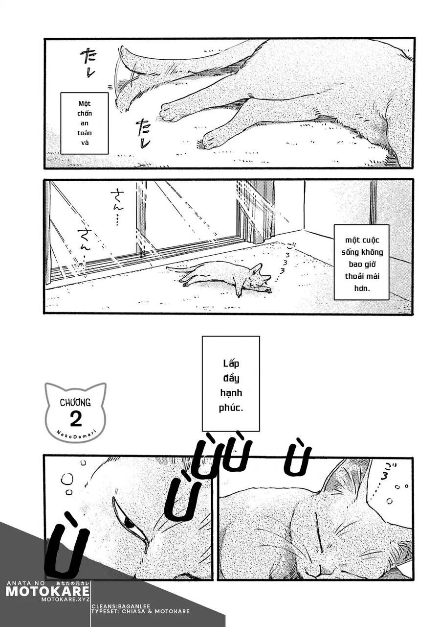 Nekodamari Chapter 2 - Trang 1