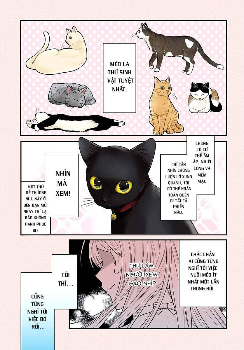 Mi-Chan Wa Kawaretai Chapter 1 - Trang 1
