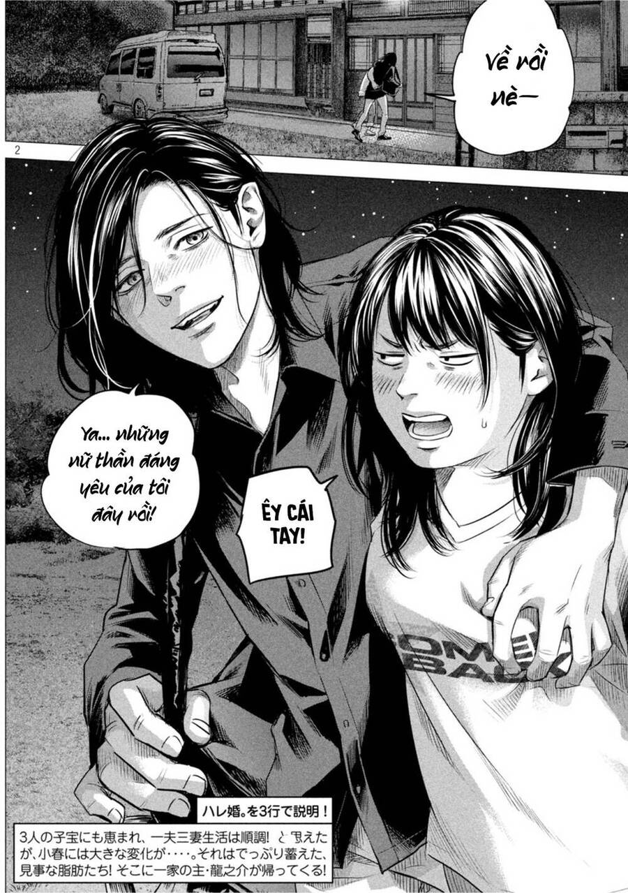 Hare Kon. Okawari! Chapter 2 - Trang 1