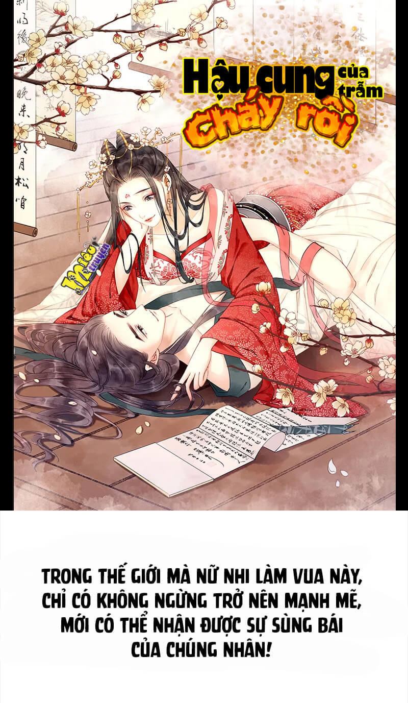 Hậu Cung Của Trẫm Cháy Rồi! Chapter 0 - Trang 0