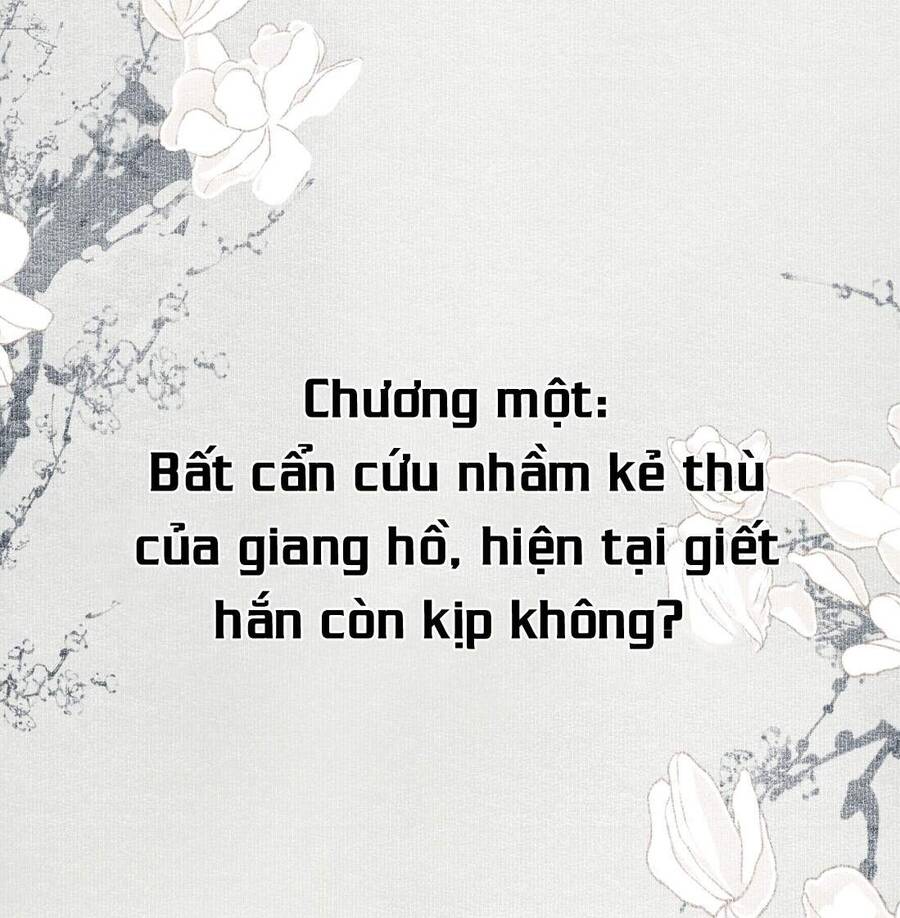 Bất Cẩn Cứu Nhầm Kẻ Thù Của Võ Lâm Chapter 1 - Trang 1