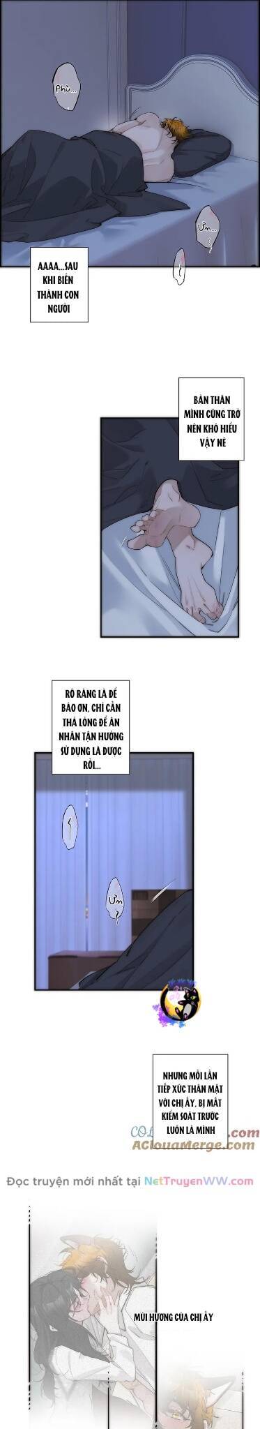 Ân Nhân Của Tôi Không Phải Học Giả Chapter 33 - Trang 1