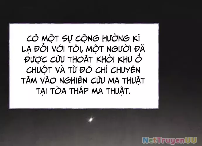 Đại Pháp Sư Của Tổ Đội Hồi Quy Chap 0 - Next Chap 1