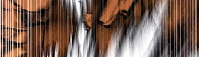 Druid Tại Ga Seoul - Người Hóa Thú Chap 95 - Next Chap 96