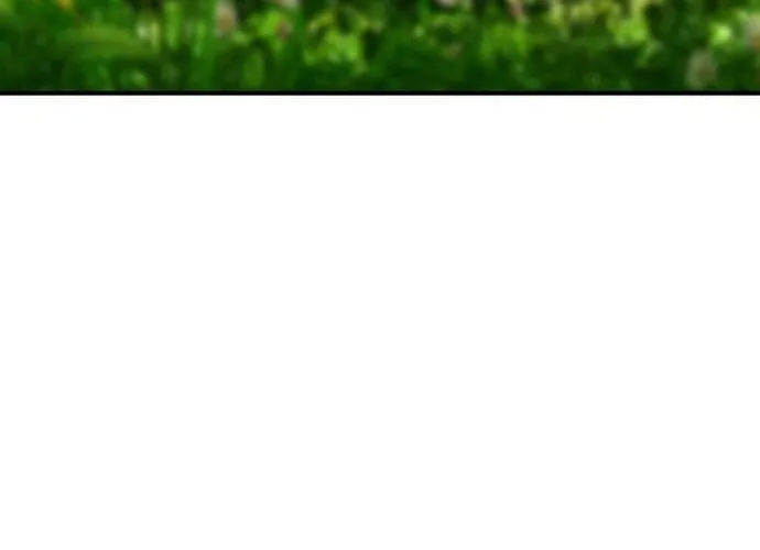 Druid Tại Ga Seoul - Người Hóa Thú Chap 103 - Next Chap 104