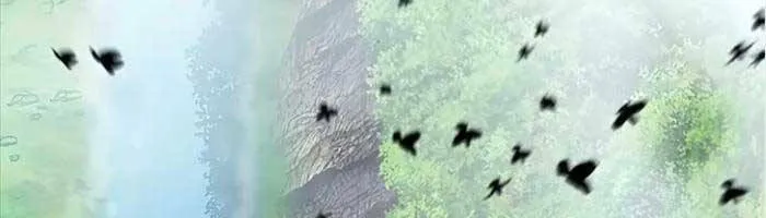 Druid Tại Ga Seoul - Người Hóa Thú Chap 98 - Next Chap 99