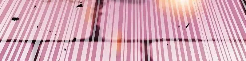 Druid Tại Ga Seoul - Người Hóa Thú Chap 85 - Next Chap 86