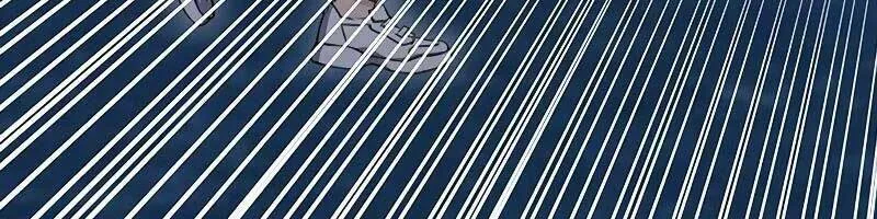 Druid Tại Ga Seoul - Người Hóa Thú Chap 85 - Next Chap 86