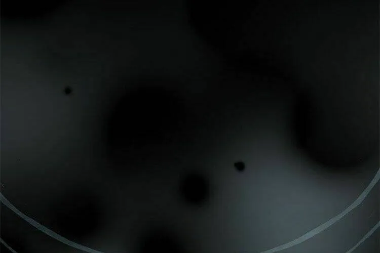 Druid Tại Ga Seoul - Người Hóa Thú Chap 30 - Next Chap 31