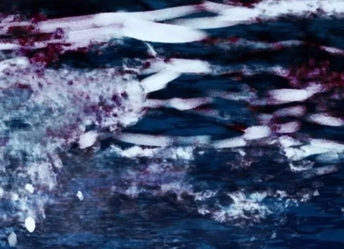 Druid Tại Ga Seoul - Người Hóa Thú Chap 103 - Next Chap 104