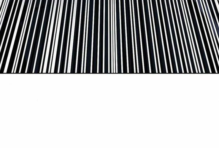 Druid Tại Ga Seoul - Người Hóa Thú Chap 37 - Next Chap 38