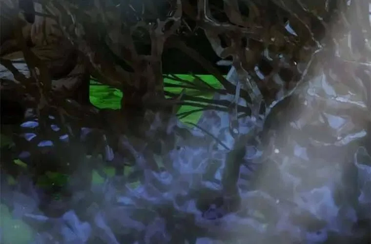 Druid Tại Ga Seoul - Người Hóa Thú Chap 79 - Next Chap 80