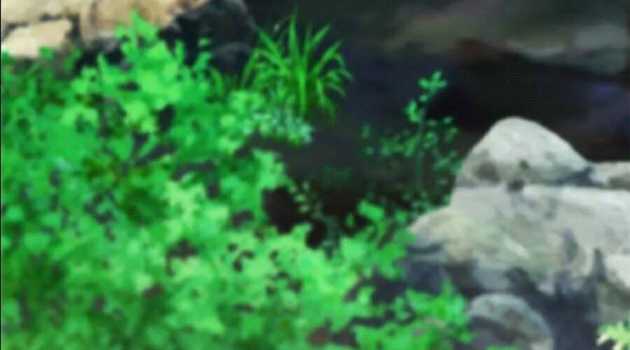 Druid Tại Ga Seoul - Người Hóa Thú Chap 11 - Next Chap 12