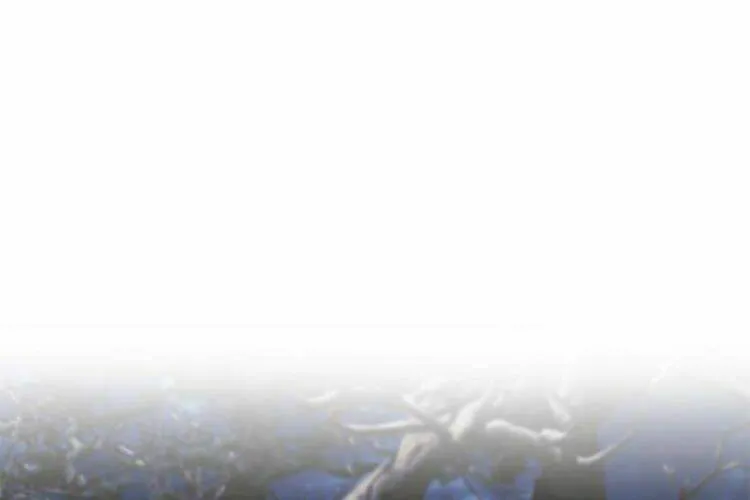 Druid Tại Ga Seoul - Người Hóa Thú Chap 27 - Next Chap 28