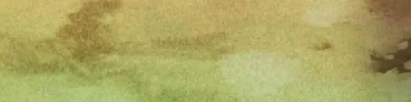 Druid Tại Ga Seoul - Người Hóa Thú Chap 75 - Next Chap 76