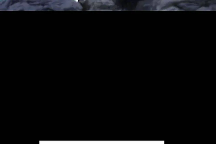 Druid Tại Ga Seoul - Người Hóa Thú Chap 23 - Next Chap 24