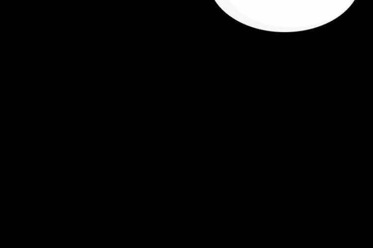 Druid Tại Ga Seoul - Người Hóa Thú Chap 29 - Next Chap 30