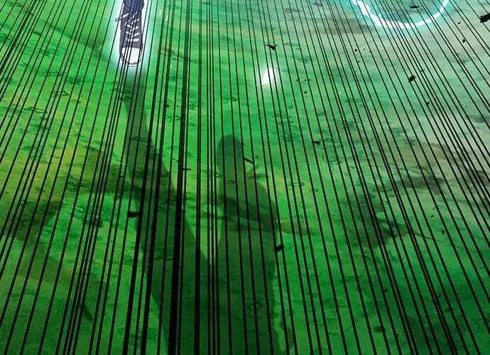 Druid Tại Ga Seoul - Người Hóa Thú Chap 59 - Next Chap 60