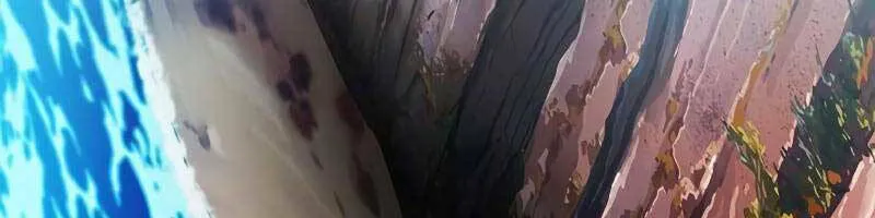 Druid Tại Ga Seoul - Người Hóa Thú Chap 87 - Next Chap 88