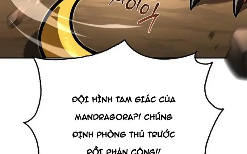 Nhật Ký Của Thợ Săn Hạng S Chap 12 - Next Chap 13