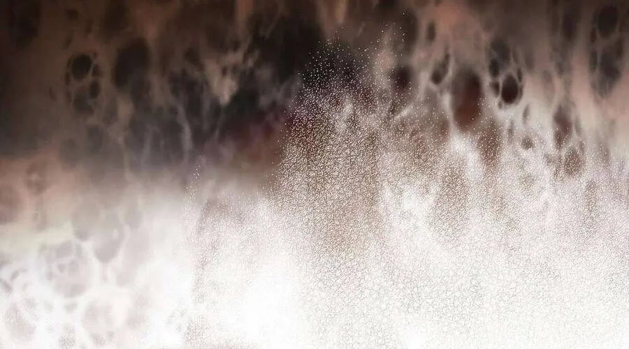 Người Chồng Độc Ác Chap 8 - Next Chap 9