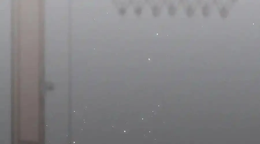 Trung Khuyển Công Lược Chap 22 - Next Chap 23