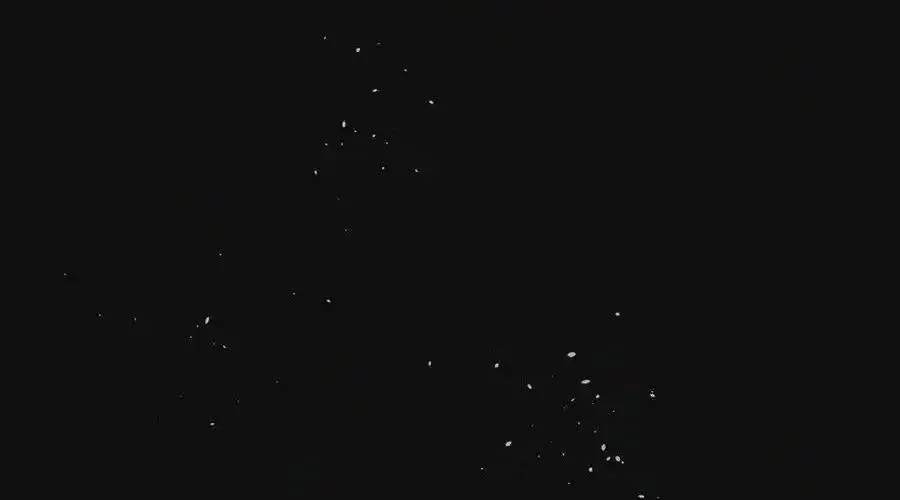 Trung Khuyển Công Lược Chap 21 - Next Chap 22