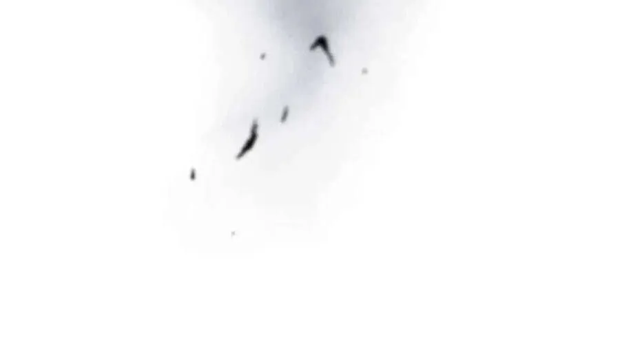 Một Ngày Nọ Bỗng Dưng Cha Xuất Hiện Chap 113 - Next Chap 114