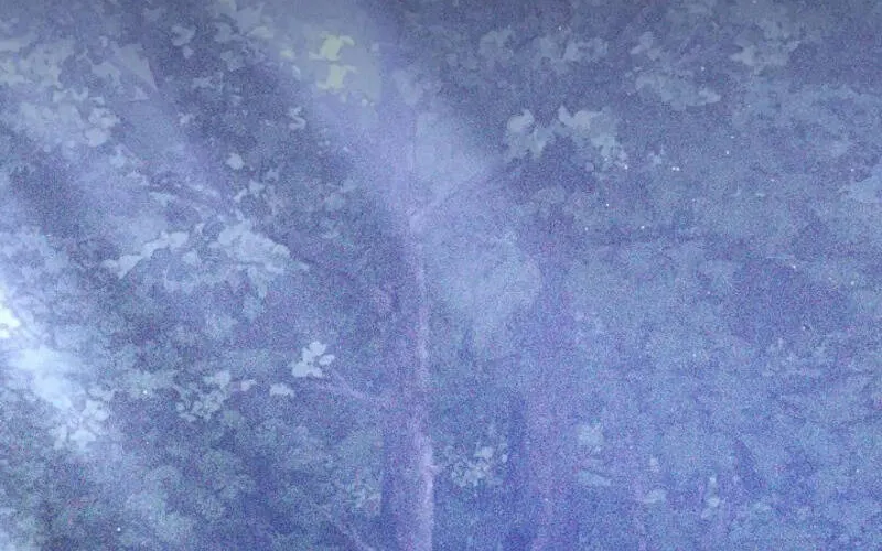 Lý Do Ác Nữ Cầm Kiếm Chap 19 - Next Chap 20