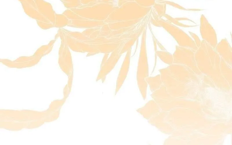 Lời Tỏ Tình Lần Thứ 101 Chap 23 - Next Chap 24