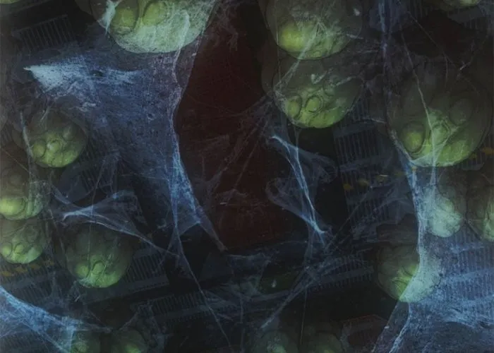 Ta Bán Hàng Vỉa Hè Ở Mạt Thế Chap 65 - Next Chap 66