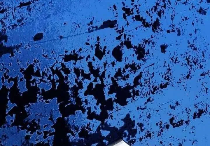 Xin Lỗi Vì Tôi Không Thể Rời Mắt Khỏi Vẻ Ngoài Của Ngài Chap 40 - Next Chap 41