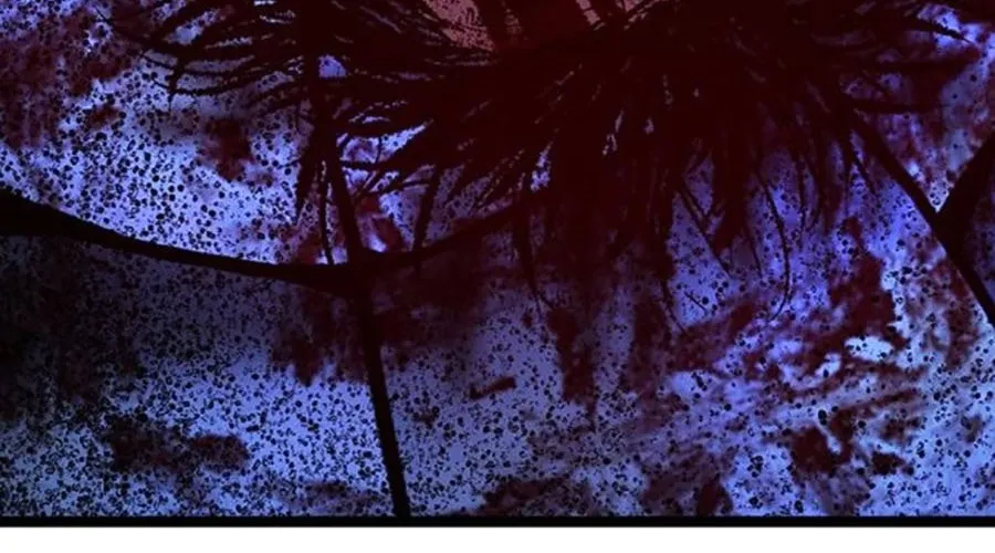 Phòng Gym Hanlim Chap 246 - Next Chap 247